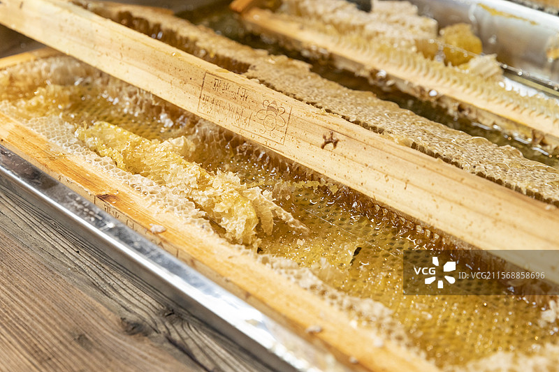 蜂巢里的生态蜂蜜特写图片素材