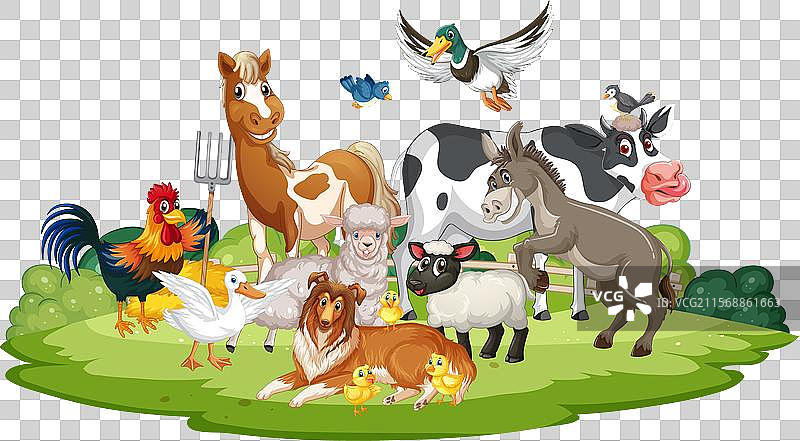 各种农场动物在绿色牧场上聚集在一起图片素材