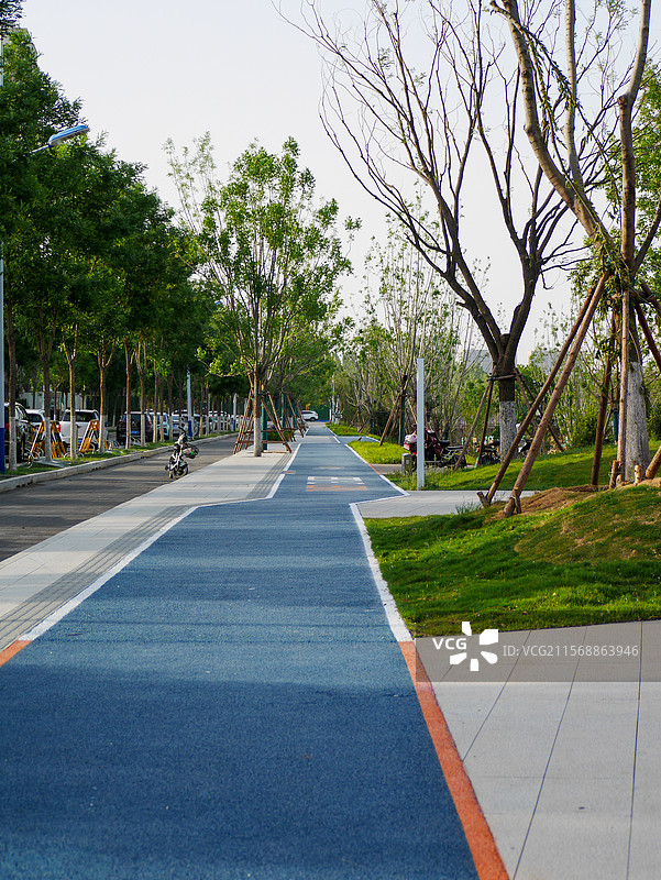 城市绿道清新漫步图片素材