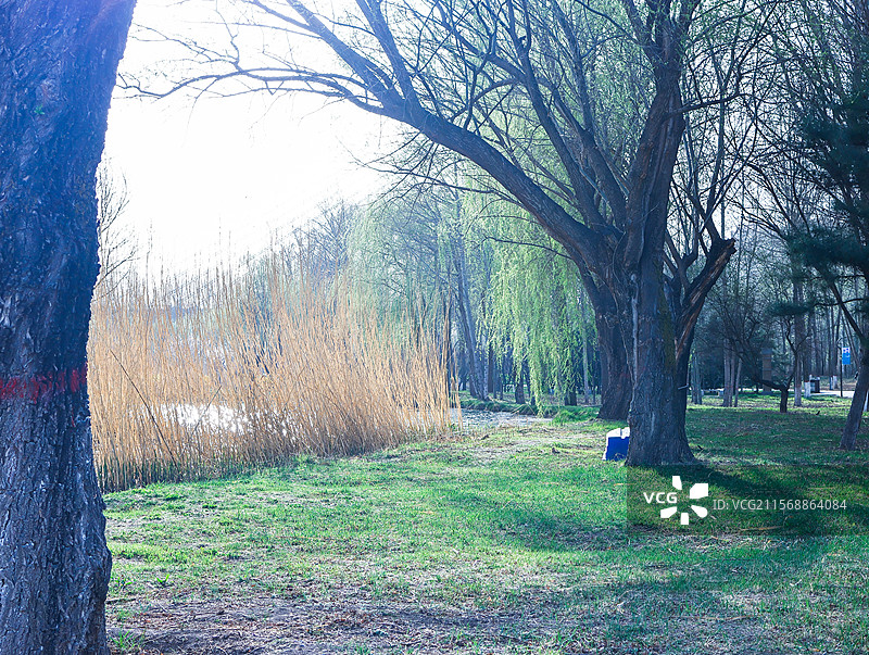 西宁湟水河湿地公园图片素材