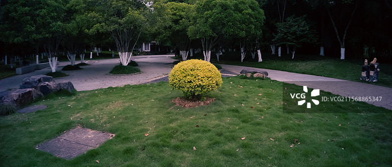 温州市白鹿洲公园图片素材