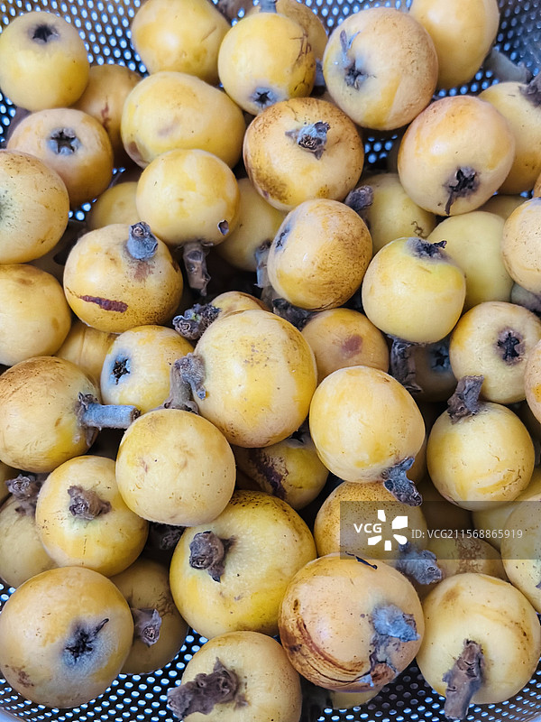 新鲜水果东山枇杷图片素材