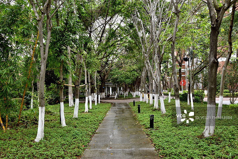 深圳职业技术学院（深圳职业技术大学）图片素材