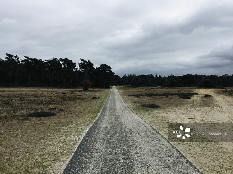 荷兰梵高国家森林公园风景图片素材