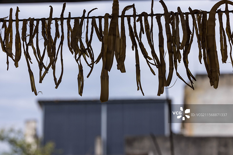 竹笋凉晒干笋子图片素材