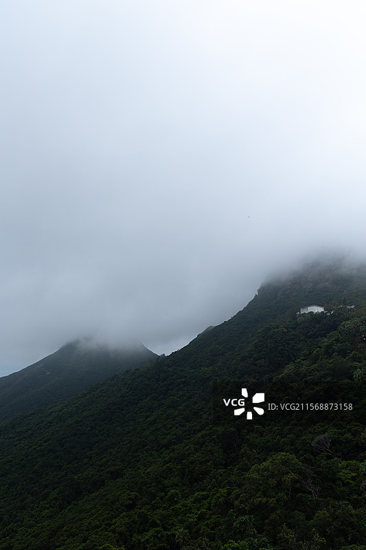 香港太平山顶：云雾山林景致图片素材