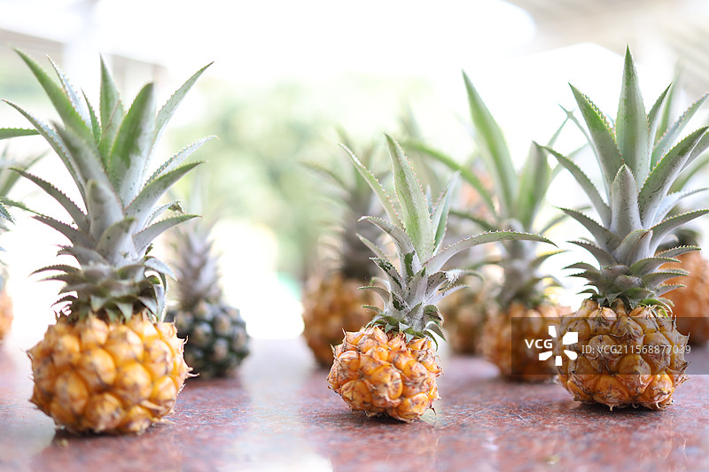 神湾菠萝图片素材