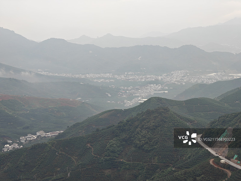 白芽奇兰的主产地-漳州平和高峰谷图片素材