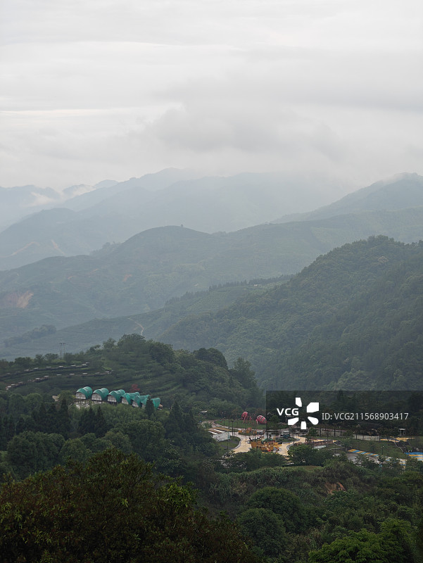 白芽奇兰的主产地-漳州平和高峰谷图片素材
