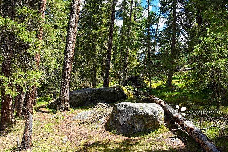 新疆喀纳斯风光图片素材