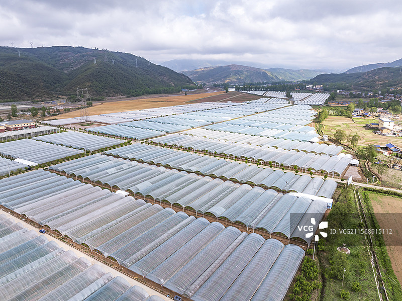 凉山州昭觉县现代农业园区大棚果蔬基地图片素材