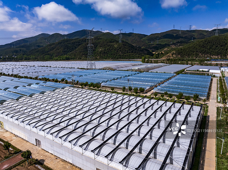 凉山州昭觉县现代农业园区大棚果蔬基地图片素材