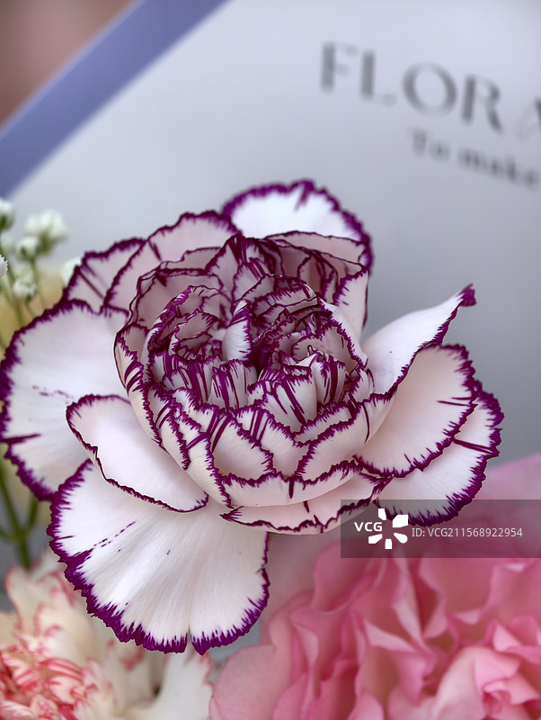 花束 母亲节图片素材