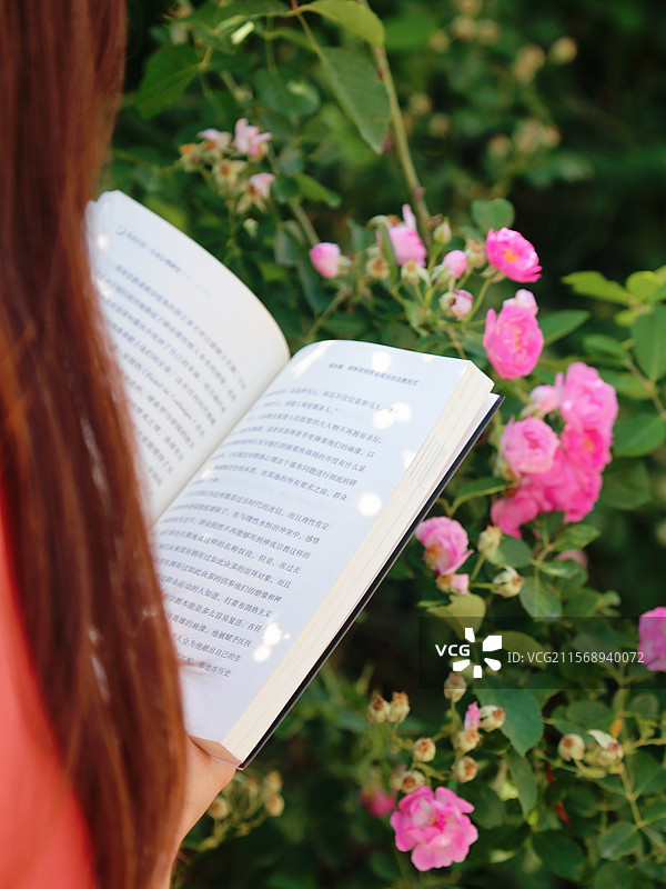 花下读书图片素材