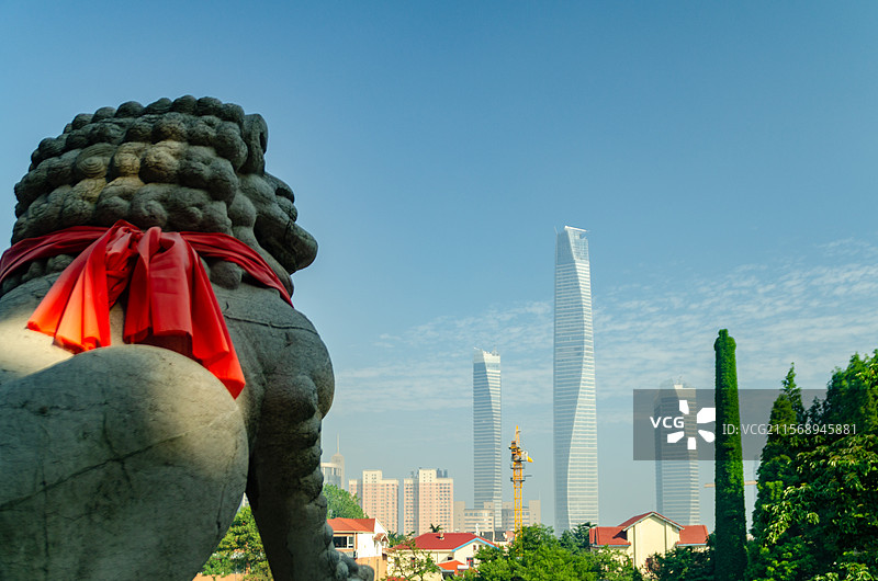 山东青岛湛山寺石狮子看城市风光图片素材