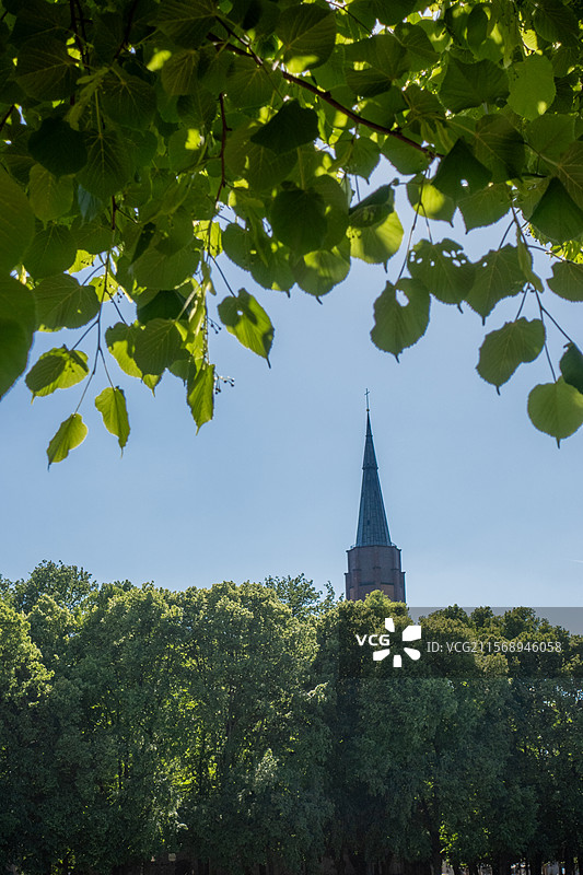 初夏的树叶与教堂：生命力图片素材