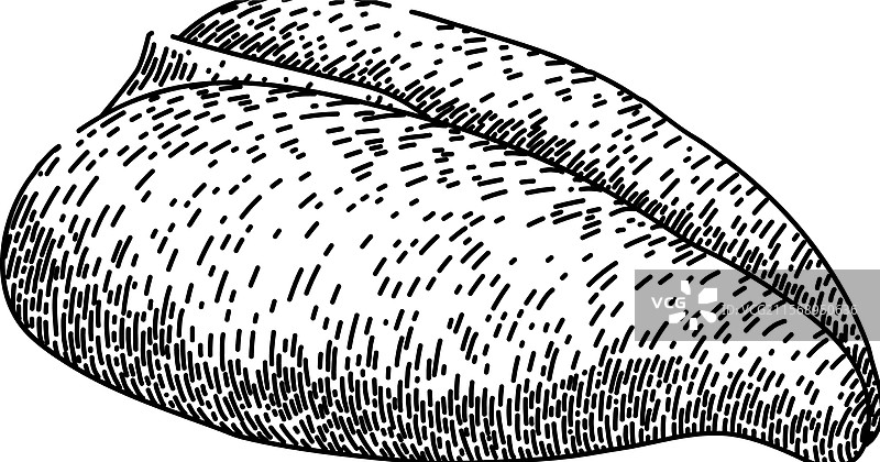 手绘肉类食品素描图片素材