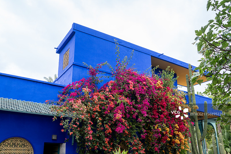 著名的伊夫圣洛朗私人花园（马若雷勒花园，YSL花园，圣罗兰纪念花园）图片素材