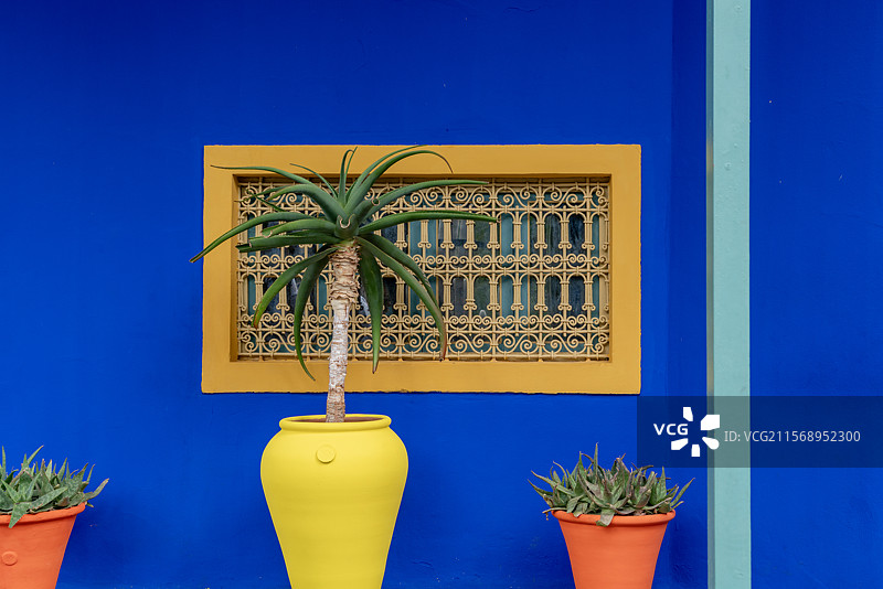 著名的伊夫圣洛朗私人花园（马若雷勒花园，YSL花园，圣罗兰纪念花园）图片素材