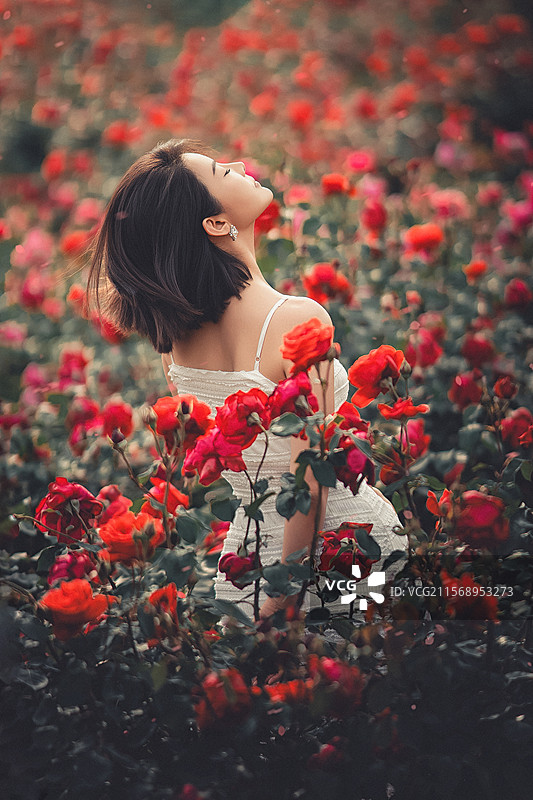 月季花女孩图片素材