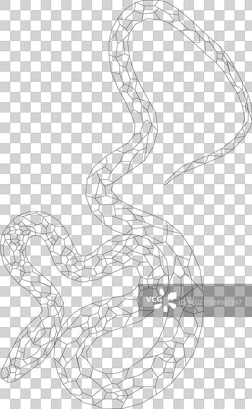 多边形马赛克风格的蛇轮廓图片素材