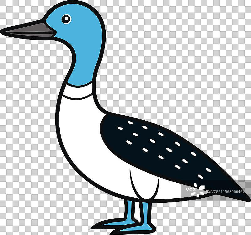 北极潜鸟图标图片素材