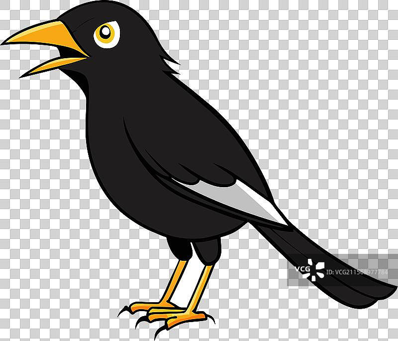 愤怒的亚洲光泽椋鸟图标图片素材