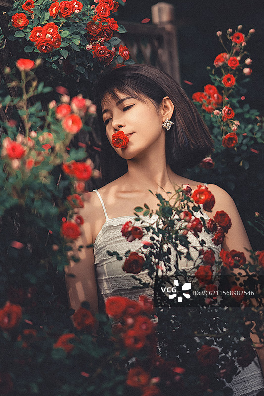 月季花女孩图片素材