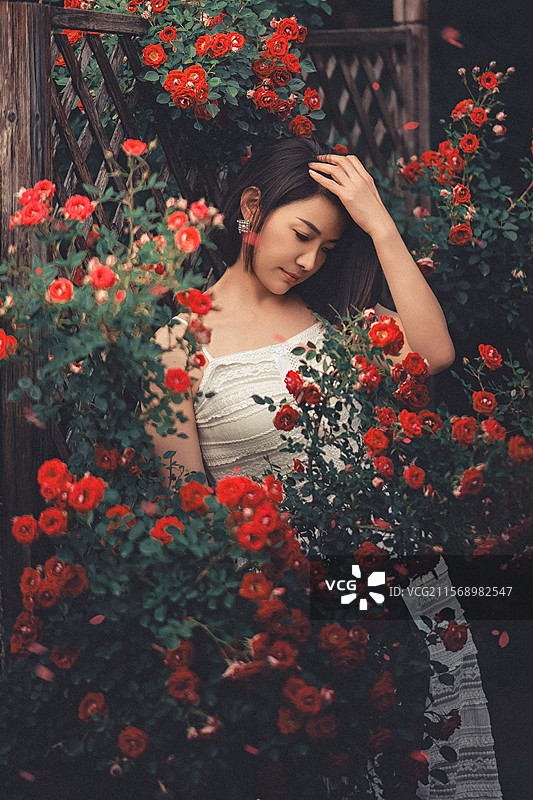 月季花女孩图片素材