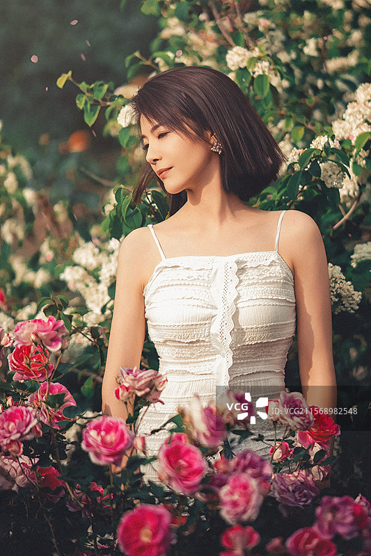月季花女孩图片素材