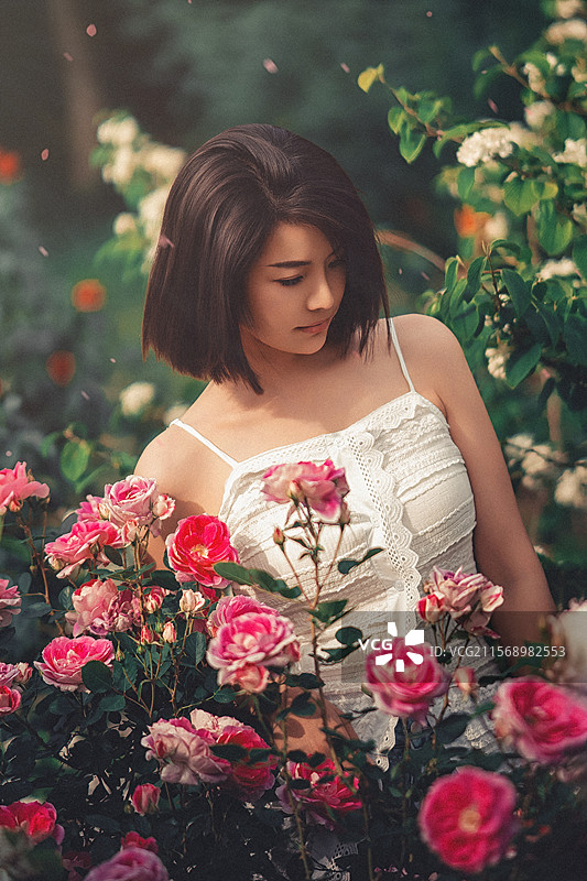 月季花女孩图片素材