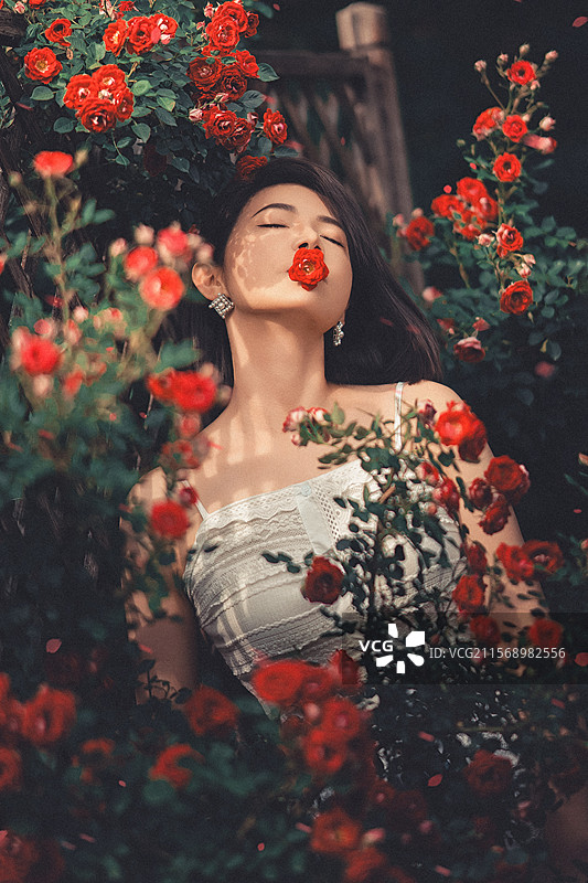 月季花女孩图片素材