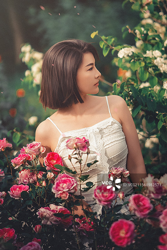 月季花女孩图片素材