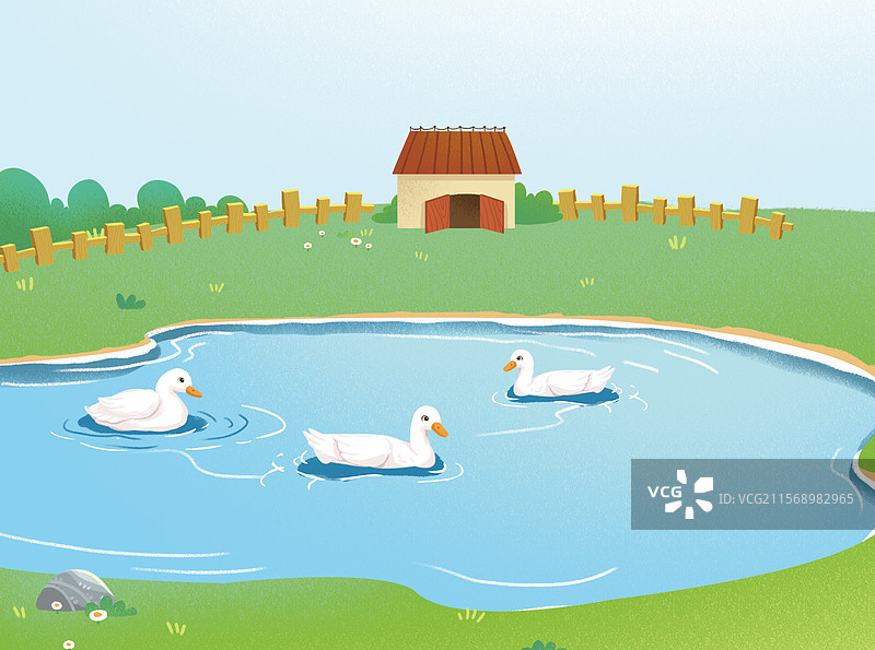 池塘和鸭图片素材