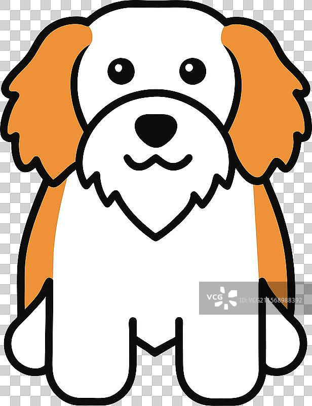 澳大利亚牧羊犬和博美犬玩耍图标图片素材