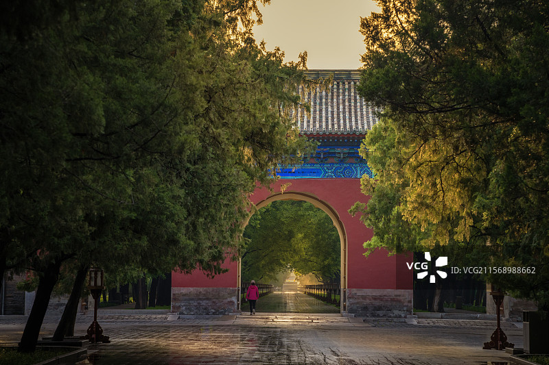 北京雨后初夏天坛清晨图片素材