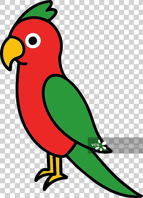 澳大利亚国王鹦鹉变成图标图片素材