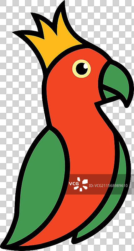 澳大利亚国王鹦鹉阅读图标图片素材