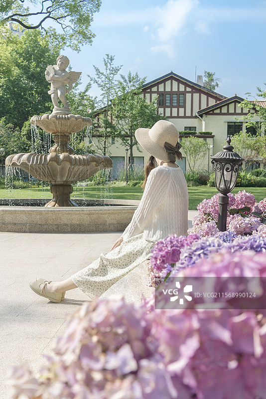 上海徐汇区吴兴公园夏植物花卉绣球花马鞭草天使喷泉图片素材