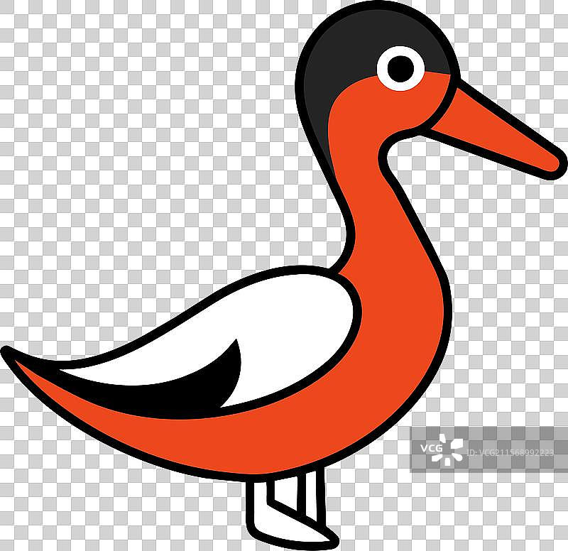 澳大利亚黑鸭鸟坐姿图标图片素材