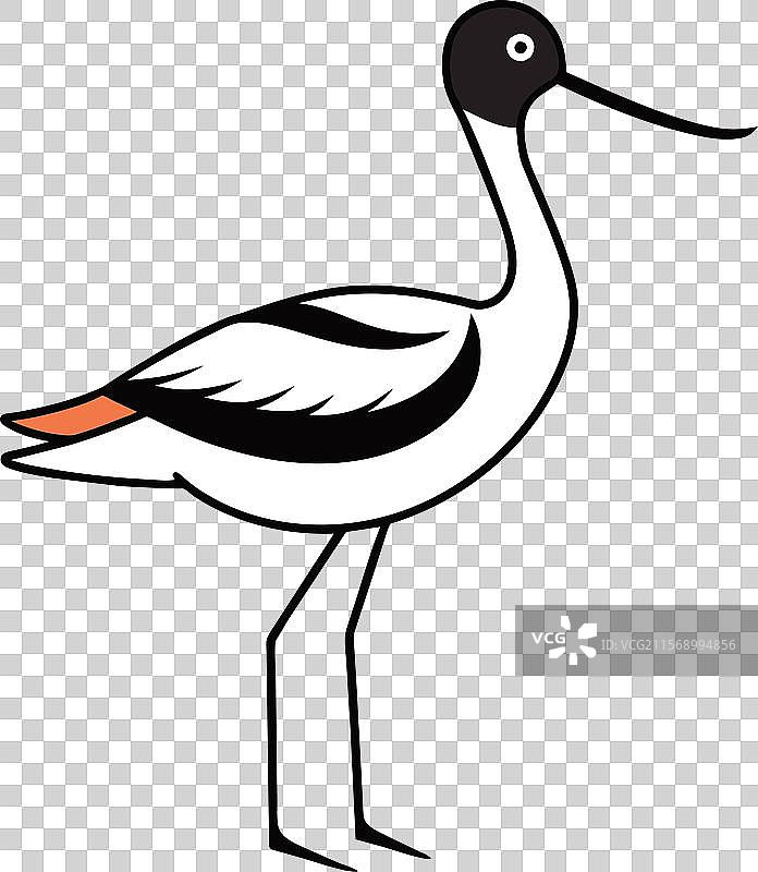 立着的鹬鸟图标图片素材