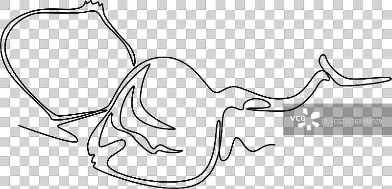 整条线连续绘制的完整和切片图形图片素材