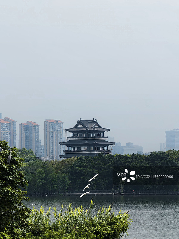 从海珠湖公园看广州市文化馆图片素材
