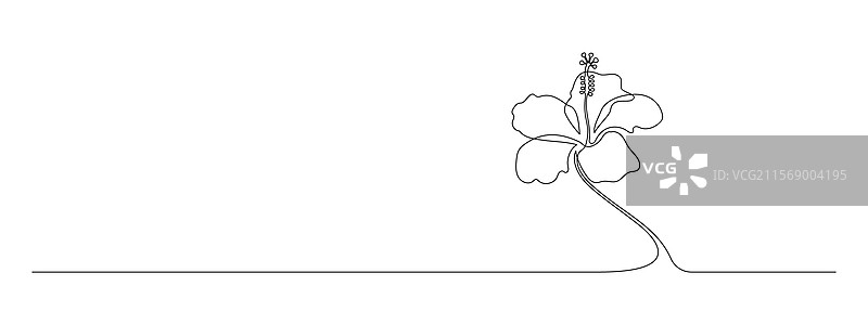 一笔连画的芙蓉花图案图片素材
