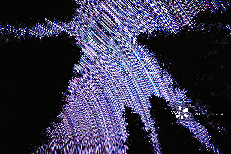 树林中的星轨图片素材