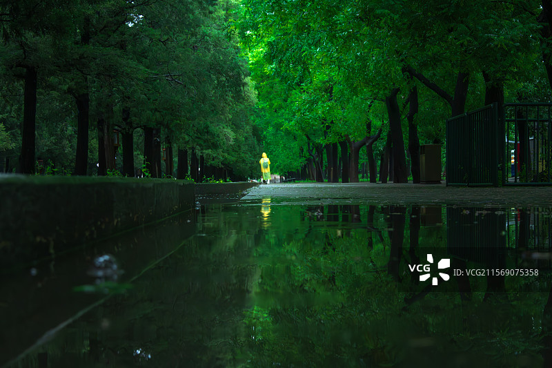 雨中天坛步道-北京的言叶之庭图片素材