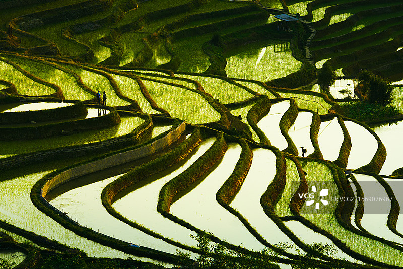 元阳梯田图片素材