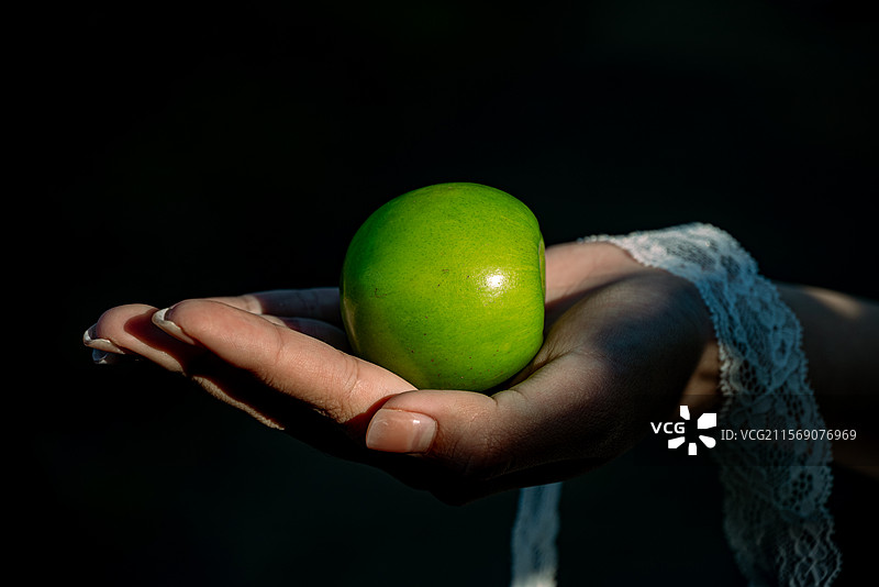 手心的水果图片素材
