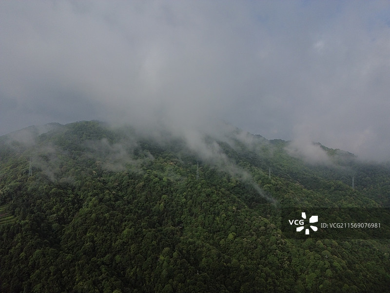 航拍清晨云雾缭绕中的高峰谷茶山风光图片素材
