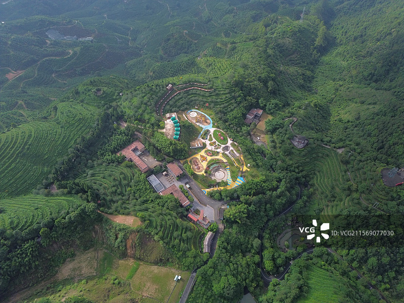 航拍清晨云雾缭绕中的高峰谷茶山风光图片素材